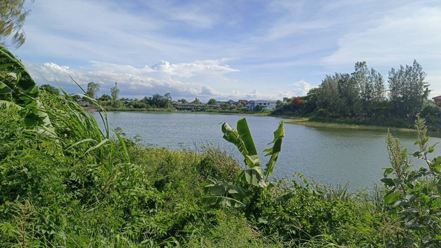 พื้นที่ดิน ที่ดิน บางเดื่อ ใกล้ถนนราชพฤกษ์ ตัดใหม่ ปทุมธานี  4576 ตารางวา 8000000 บาท ใกล้กับ ใกล้ถนนราชพฤกษ์ ตัดใหม่ ปทุมธานี Good อยู่ใกล้ความเจริญ ด้านหลังติดคลอง อ้อมล้อมธรรมชาติ