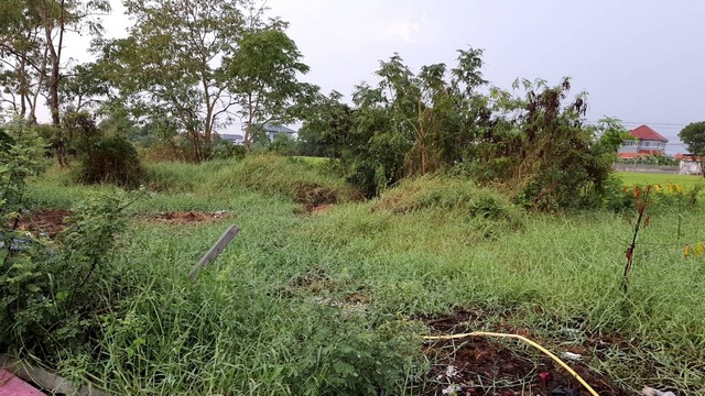 ที่ดิน ที่ดิน ลำโพ 140 ตร.ว.  2800000 THAI BAHT ใกล้ 1. องค์การบริหารส่วนตำบลลำโพ 2. ที่ว่าารอำเภอบางบัวทอง ราคาน่าลงทุน ถมแล้ว ใกล้ถนนสายหลัก กรุงเทพ - สุพรรณบุรี