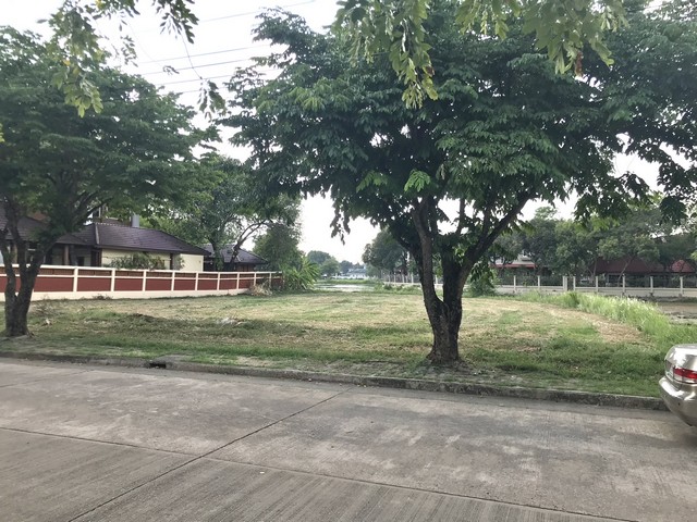 ขายที่ดินปลูกบ้านหรู ขนาดที่ดิน 286 ตรว. ที่ในกฤษดานคร 20 ติดเวิ้งน้ำ 2 ด้าน ถนนเมน ถนนบรมราชชนนี ก่อนถึงพุทธมณฑลสาย 3 ใกล้บุญถาวร 
