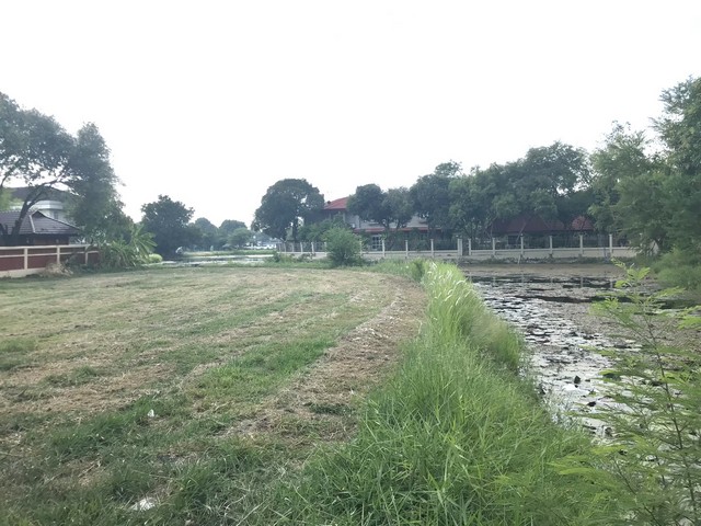 ขายที่ดินปลูกบ้านหรู ขนาดที่ดิน 286 ตรว. ที่ในกฤษดานคร 20 ติดเวิ้งน้ำ 2 ด้าน ถนนเมน ถนนบรมราชชนนี ก่อนถึงพุทธมณฑลสาย 3 ใกล้บุญถาวร 