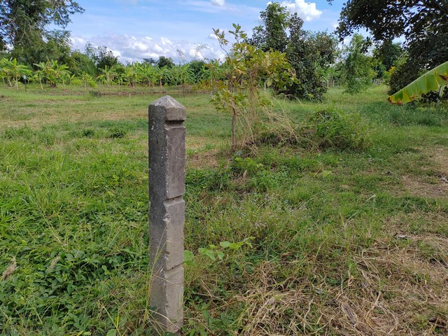 ขายด่วนที่ดินในหมู่บ้านสนวน 100 ตร.วา ต.หนองไข่น้ำ อ.เมือง   จ.นครราชสีมา   ZE585