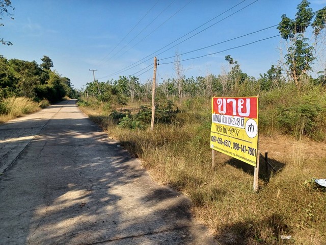 ขายสวนยางด่วน ราคาถูก  พร้อมกรีด  107-2-48 ไร่  ต.นาพู่ อ.เพ็ญ จ.อุดรธานี   ZK233