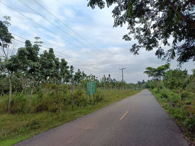 ขายสวนยางด่วน ราคาถูก  พร้อมกรีด  107-2-48 ไร่  ต.นาพู่ อ.เพ็ญ จ.อุดรธานี   ZK233
