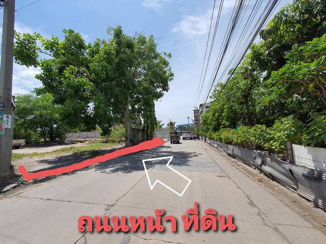 ที่ดิน ที่ดินเปล่า สุขสวัสดิ์ 92 ในคลองบางปลากด พระสมุทรเจดีย์ สมุทรปราการ  ราคาถูก ที่ดินแปลงสวยรูปสี่เหลี่ยมผืนผ้า