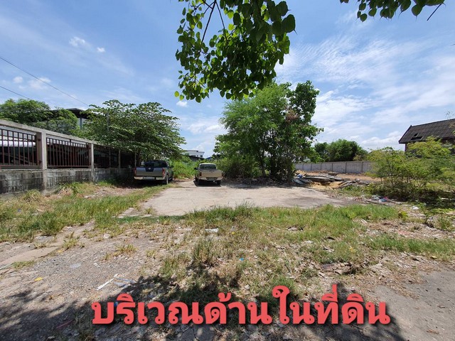 ที่ดิน ที่ดินเปล่า สุขสวัสดิ์ 92 ในคลองบางปลากด พระสมุทรเจดีย์ สมุทรปราการ  ราคาถูก ที่ดินแปลงสวยรูปสี่เหลี่ยมผืนผ้า