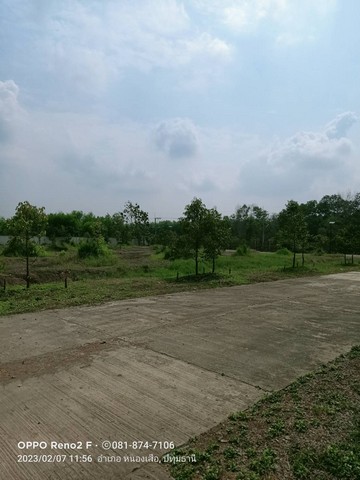 ขายโรงงานราคาถูกต่อรองได้ขายโกดังโรงงานพร้อมบ้านพักคนงานอยู่ตำบลบึงชำอ้ออำเภอหนองเสือ