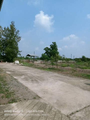 ขายโรงงานราคาถูกต่อรองได้ขายโกดังโรงงานพร้อมบ้านพักคนงานอยู่ตำบลบึงชำอ้ออำเภอหนองเสือ