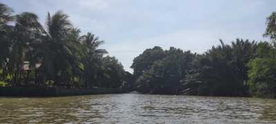 Land for rent ที่ดินเกือบ 7 ไร่ บางกระเจ้า ติดแม่น้ำเจ้าพระยา สามารถทำท่าเรือออกแม่น้ำได้