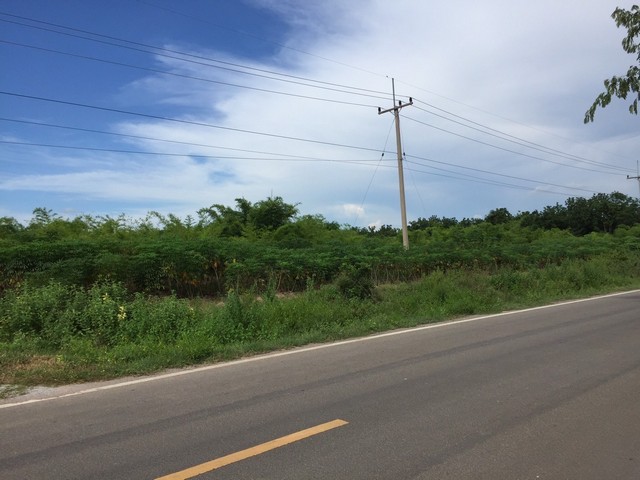 ขายที่ติดถนนลาดยาง ขนาด 61 ไร่กว่า   ต.หนองประดู่  อ.เลาขวัญ   จ.กาญจนบุรี  