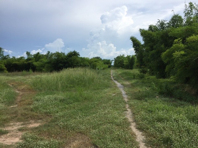 ขายที่ติดถนนลาดยาง ขนาด 61 ไร่กว่า   ต.หนองประดู่  อ.เลาขวัญ   จ.กาญจนบุรี  