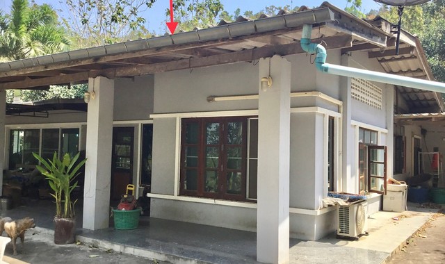 ขายบ้านเดี่ยวใกล้ โลตัสโกเฟรช บ้านกรูด อ.บางสะพาน จ.ประจวบคีรีขันธ์ PKK02-13451