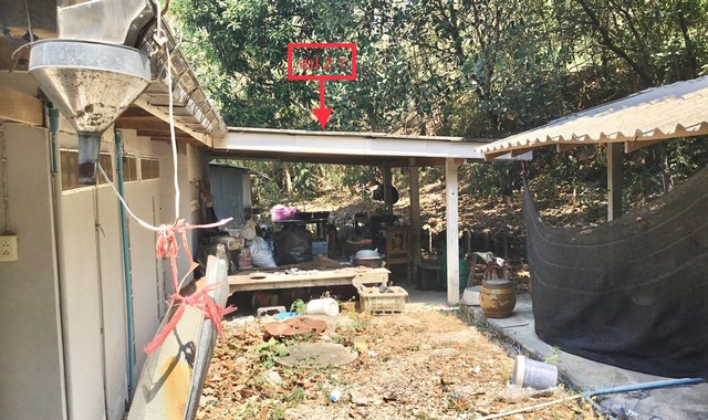 ขายบ้านเดี่ยวใกล้ โลตัสโกเฟรช บ้านกรูด อ.บางสะพาน จ.ประจวบคีรีขันธ์ PKK02-13451