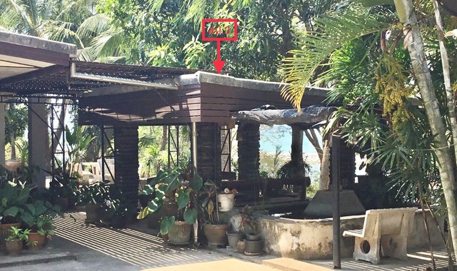 ขายบ้านเดี่ยวใกล้ โลตัสโกเฟรช บ้านกรูด อ.บางสะพาน จ.ประจวบคีรีขันธ์ PKK02-13451