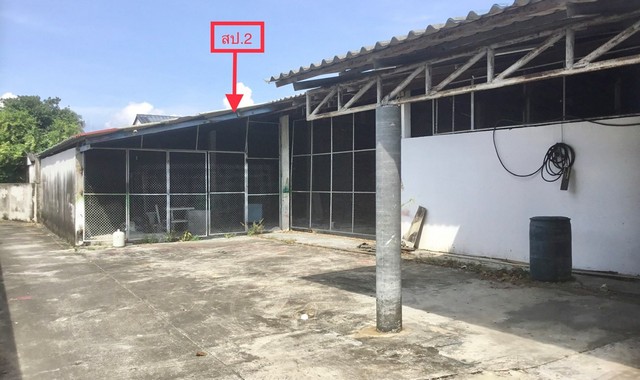 ขายอาคารพาณิชย์ใกล้ ตลาดคลองวาฬ อ.เมืองประจวบคีรีขันธ์ จ.ประจวบคีรีขันธ์ PKK04-05258