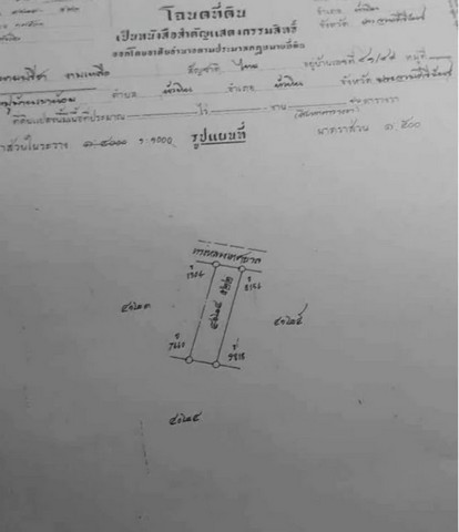 ขายบ้านอาคารพาณิชย์ ท๊อปแลนด์ ติดกับตลาดนัดไดโนเสาร์เก่า หัวหิน จังหวัดประจวบคีรีขันธ์