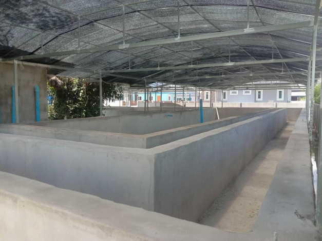 ขายที่ดินราคาพิเศษ พร้อมธุรกิจฟาร์มปลาพลวงชมพู ปลาเวียน 18 ล้านบาทลดพิเศษ รวมทรัพย์สินทั้งหมด