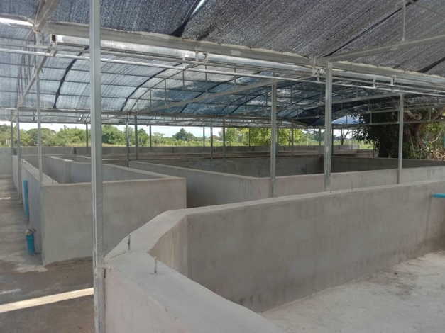 ขายที่ดินราคาพิเศษ พร้อมธุรกิจฟาร์มปลาพลวงชมพู ปลาเวียน 18 ล้านบาทลดพิเศษ รวมทรัพย์สินทั้งหมด