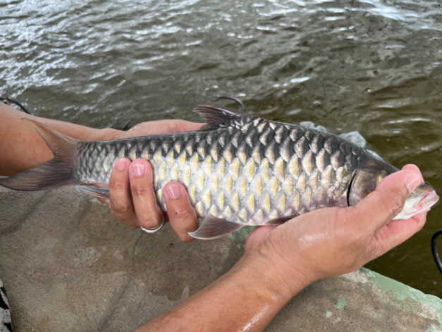 ขายที่ดินราคาพิเศษ พร้อมธุรกิจฟาร์มปลาพลวงชมพู ปลาเวียน 18 ล้านบาทลดพิเศษ รวมทรัพย์สินทั้งหมด