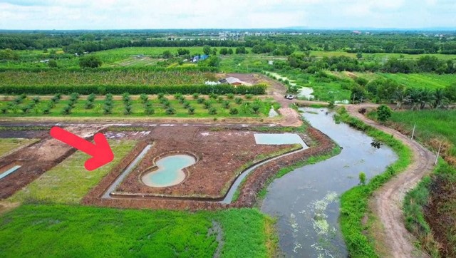 ขายที่ดินปทุมธานี คลอง 14 พื้นที่ 1 ไร่ครึ่ง รับโปรพิเศษเฉพาะช่วงปีใหม่เท่านั้นก่อนสิ้นปีนี้เท่านั้น‼️