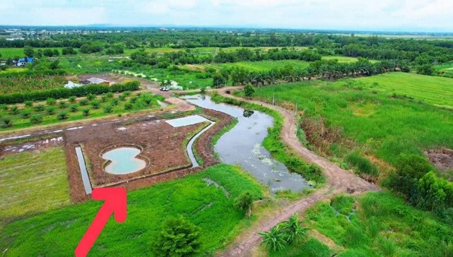 ขายที่ดินปทุมธานี คลอง 14 พื้นที่ 1 ไร่ครึ่ง รับโปรพิเศษเฉพาะช่วงปีใหม่เท่านั้นก่อนสิ้นปีนี้เท่านั้น‼️