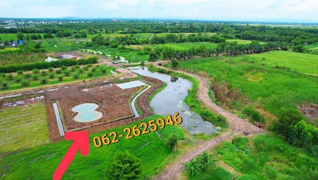 ขายที่ดินปทุมธานี คลอง 14 พื้นที่ 1 ไร่ครึ่ง รับโปรพิเศษเฉพาะช่วงปีใหม่เท่านั้นก่อนสิ้นปีนี้เท่านั้น‼️