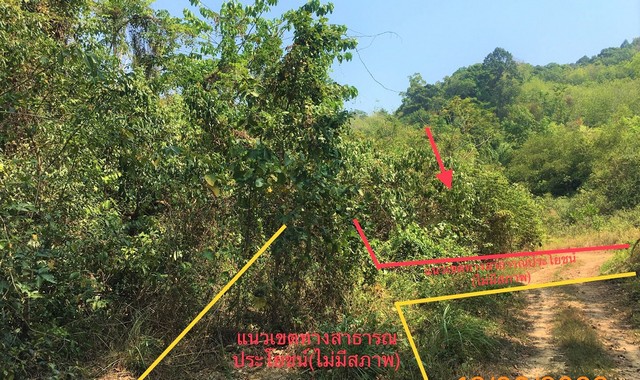 ขายที่ดินว่างเปล่าใกล้ โรงพยาบาลคุระบุรีชัยพัฒน์ อำเภอคุระบุรี จังหวัดพังงา PKK01-10673