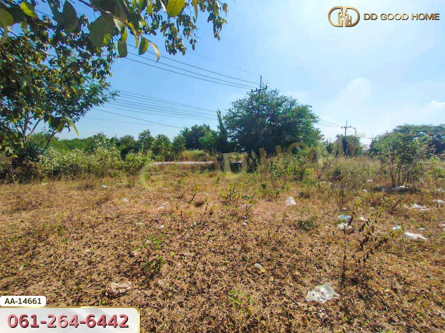 ที่ดิน อ.เมืองนครราชสีมา 3 ไร่ 349 ตร.ว. นิคมอุตสาหกรรมสุรนารี หัวทะเล นครราชสีมา