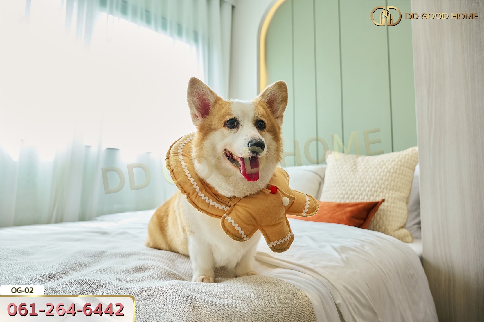 ดิ ออริจิ้น บางแค โครงการเลี้ยงสัตว์ได้แห่งแรกในย่านบางแค กรุงเทพฯ