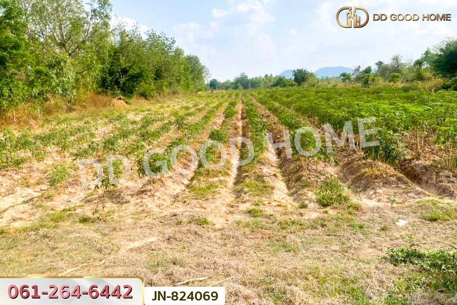 JN-824069 ที่ดินด่านมะขามเตี้ย 4 ไร่ 399.7 ตร.ว. หมู่บ้านยุติธรรม กาญจนบุรี ใกล้วัดถ้ำเสือ