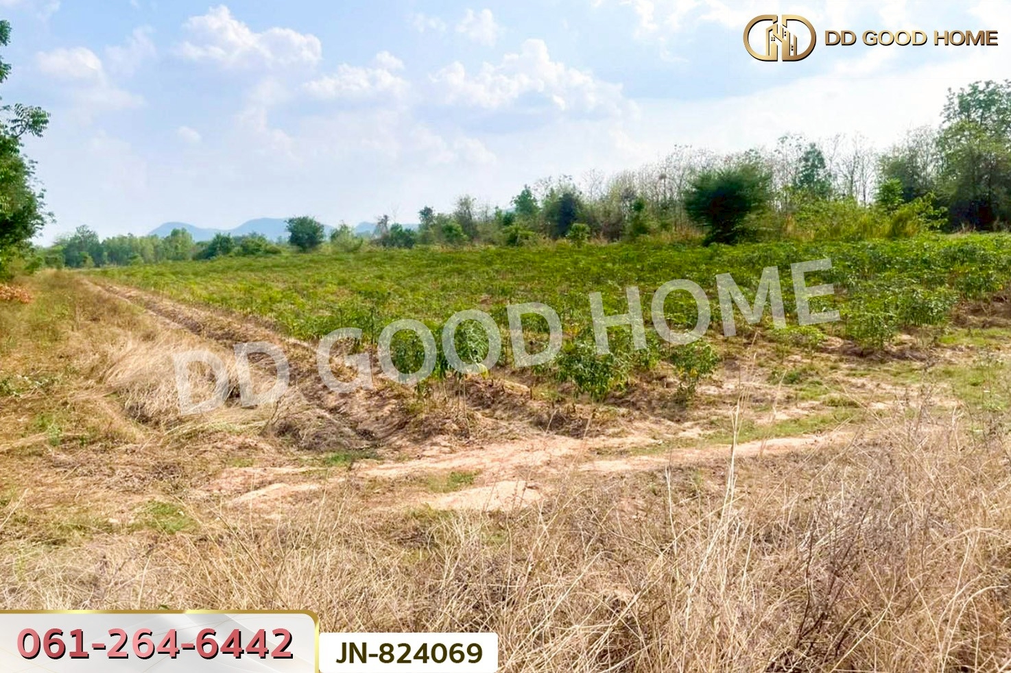 JN-824069 ที่ดินด่านมะขามเตี้ย 4 ไร่ 399.7 ตร.ว. หมู่บ้านยุติธรรม กาญจนบุรี ใกล้วัดถ้ำเสือ