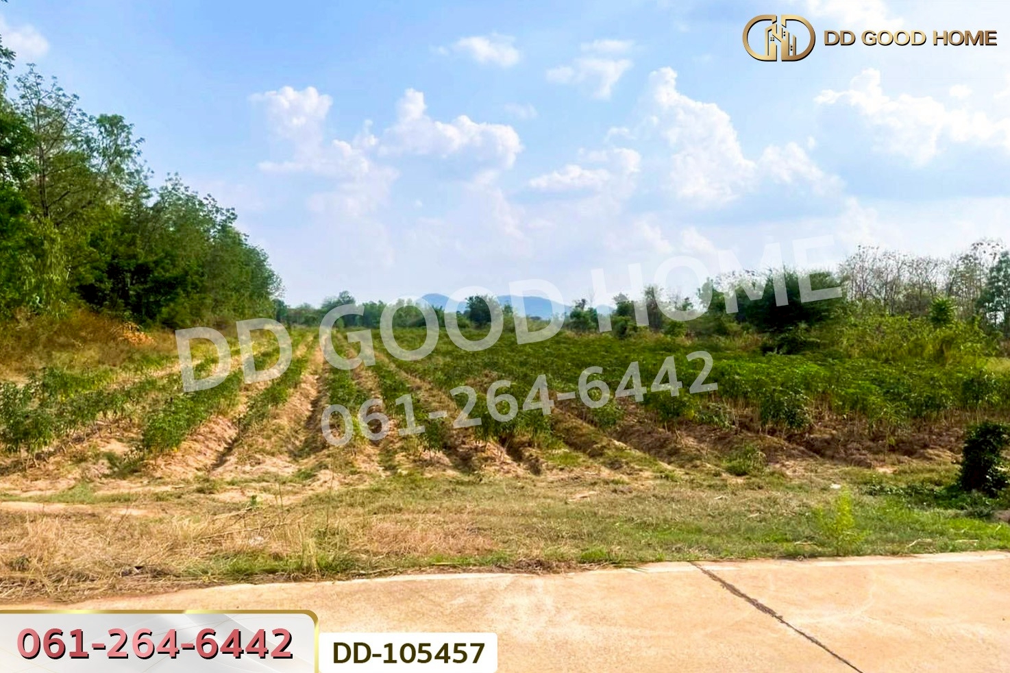 ที่ดินด่านมะขามเตี้ย 4 ไร่ 399.7 ตร.ว. กาญจนบุรี ใกล้โรงพยาบาลด่านมะขามเตี้ย DD-105457