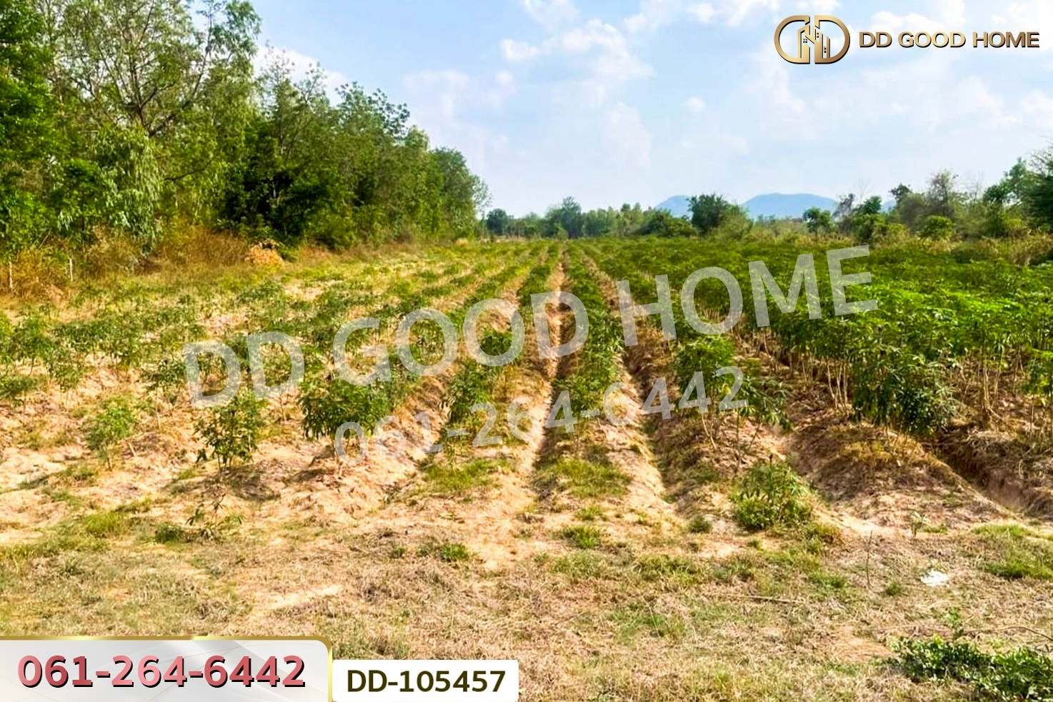 ที่ดินด่านมะขามเตี้ย 4 ไร่ 399.7 ตร.ว. กาญจนบุรี ใกล้โรงพยาบาลด่านมะขามเตี้ย DD-105457