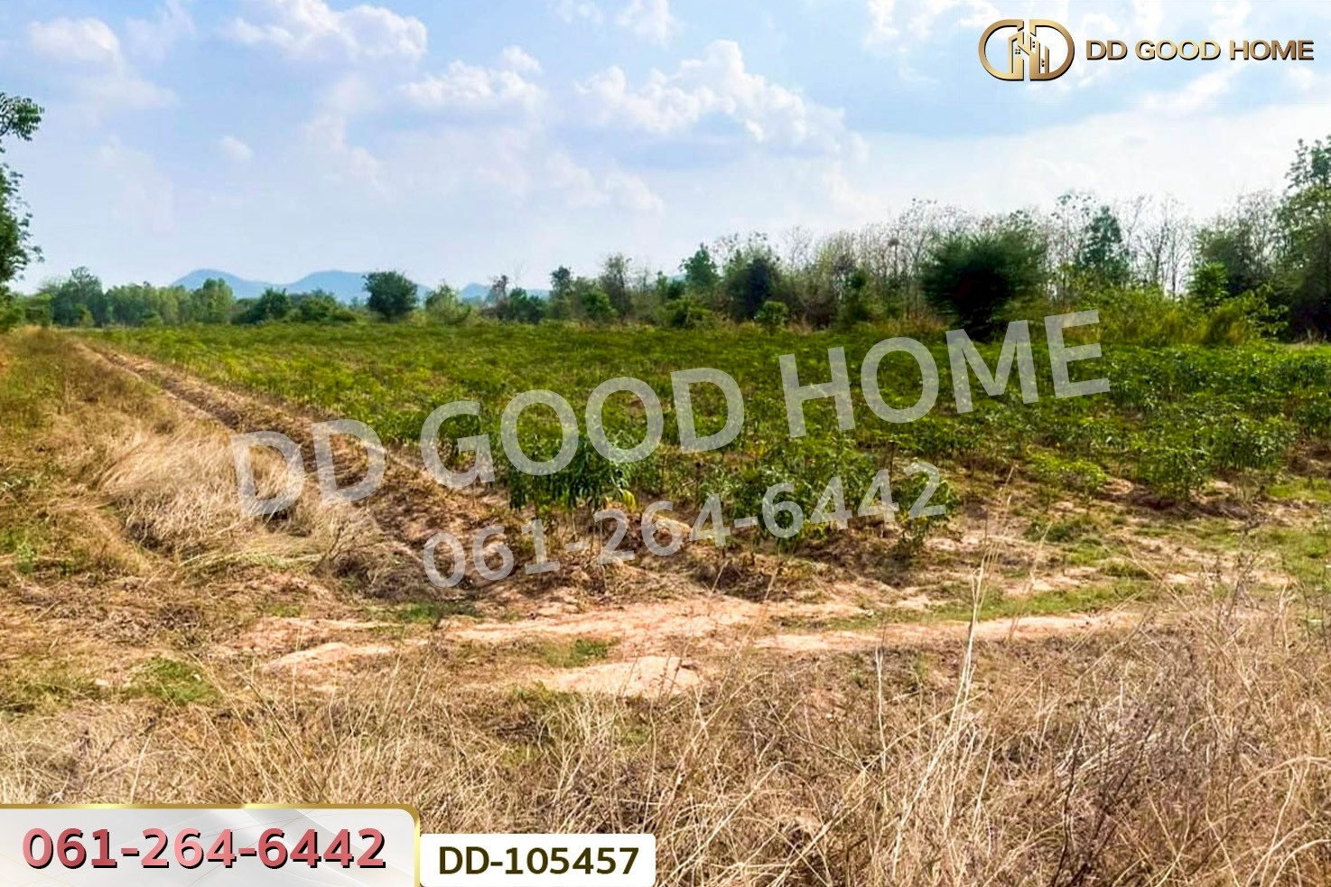 ที่ดินด่านมะขามเตี้ย 4 ไร่ 399.7 ตร.ว. กาญจนบุรี ใกล้โรงพยาบาลด่านมะขามเตี้ย DD-105457