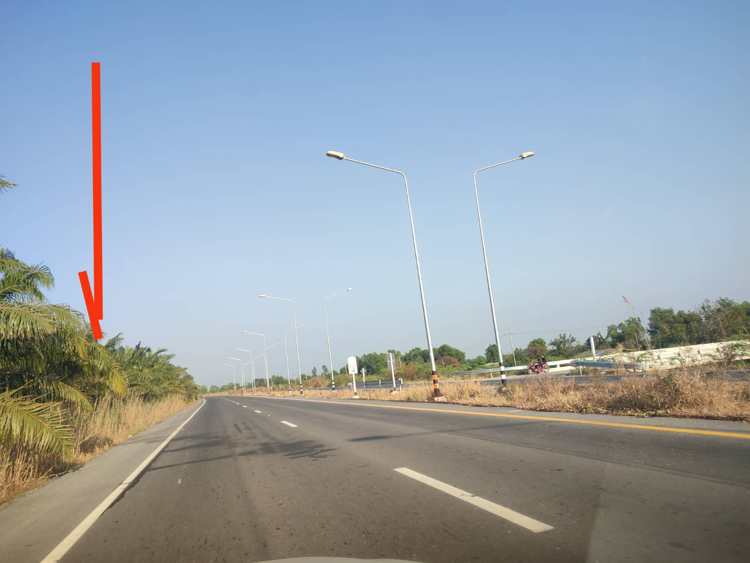 ขายที่ดินเปล่า 255ไร่ ทำเลทอง ติดริมถนน 4 เลนสายองครักษ์-บ้านนา(นย.3007)