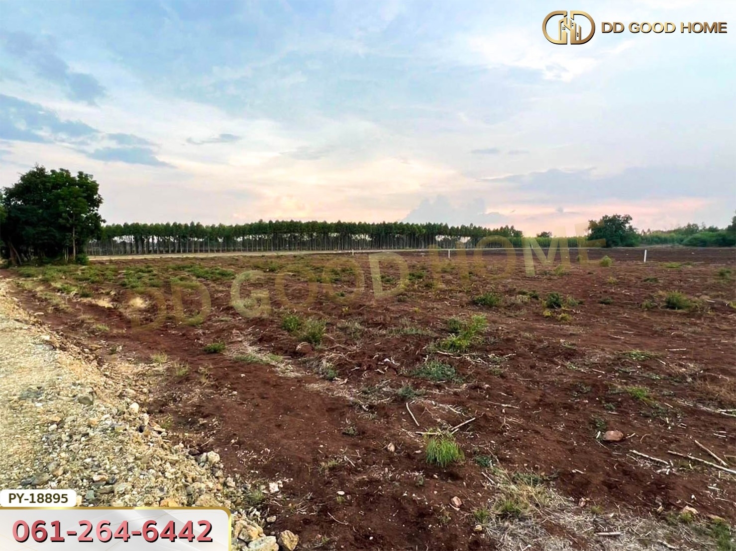 ที่ดิน อ.พยุหะคีรี 5 ไร่ 34.8 ตร.ว. นครสวรรค์