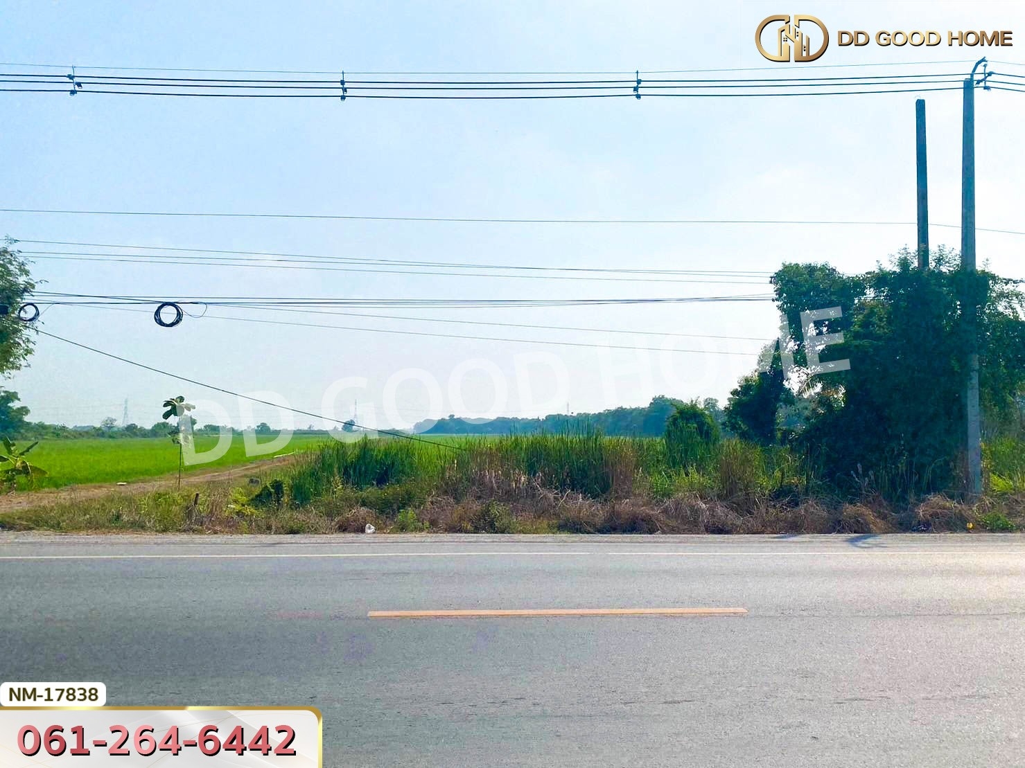 ที่ดิน อ.ลำลูกกา 85 ไร่ 22.1 ตร.ว. ถ.ลำลูกกาคลอง 12 ปทุมธานี