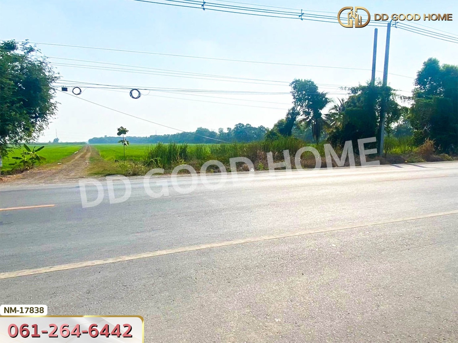 ที่ดิน อ.ลำลูกกา 85 ไร่ 22.1 ตร.ว. ถ.ลำลูกกาคลอง 12 ปทุมธานี