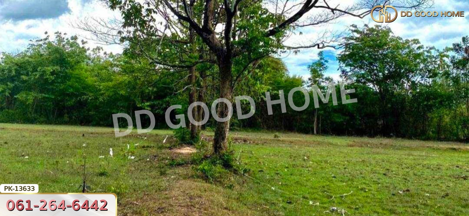 ที่ดิน อ.เขาย้อย 4 ไร่ 294 ตร.ว. เพชรบุรี