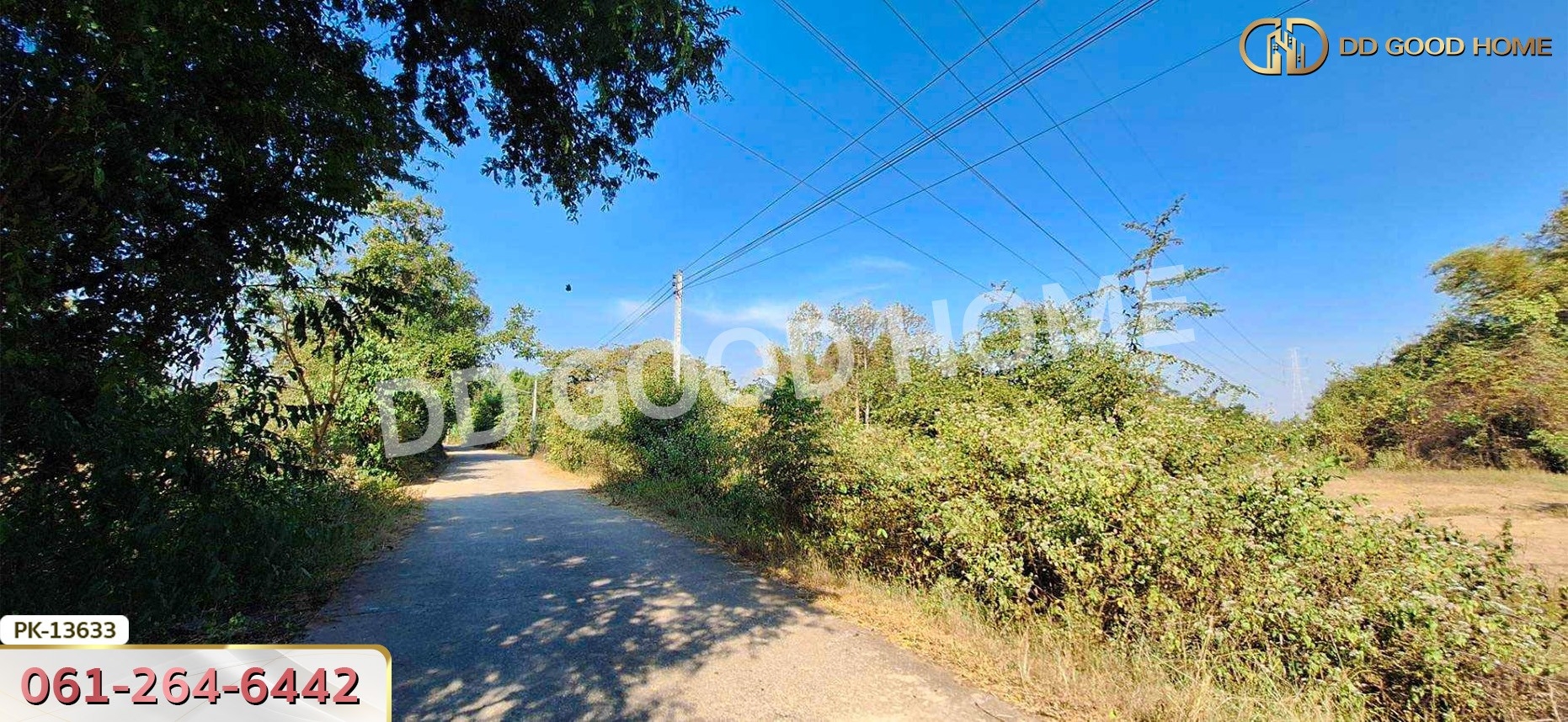 ที่ดิน อ.เขาย้อย 4 ไร่ 294 ตร.ว. เพชรบุรี