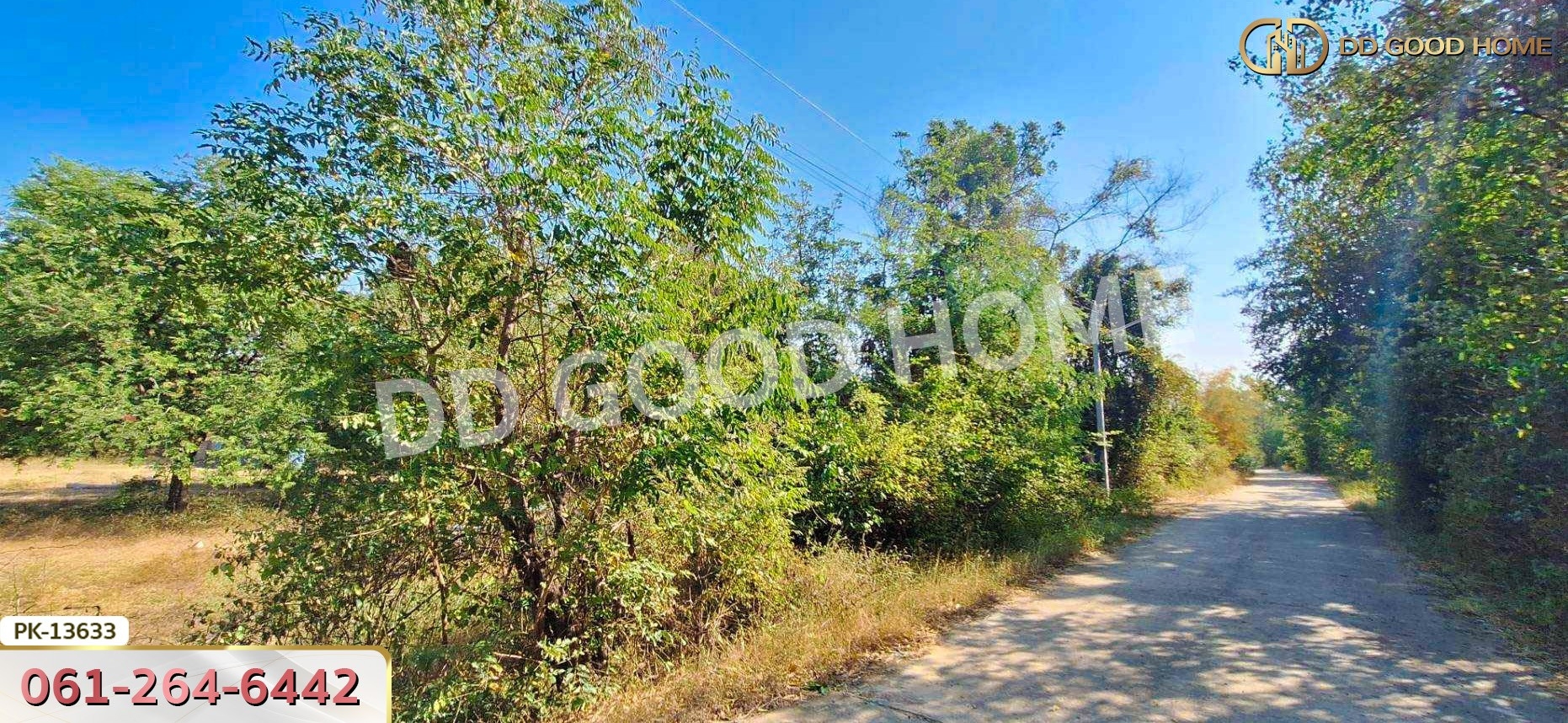 ที่ดิน อ.เขาย้อย 4 ไร่ 294 ตร.ว. เพชรบุรี