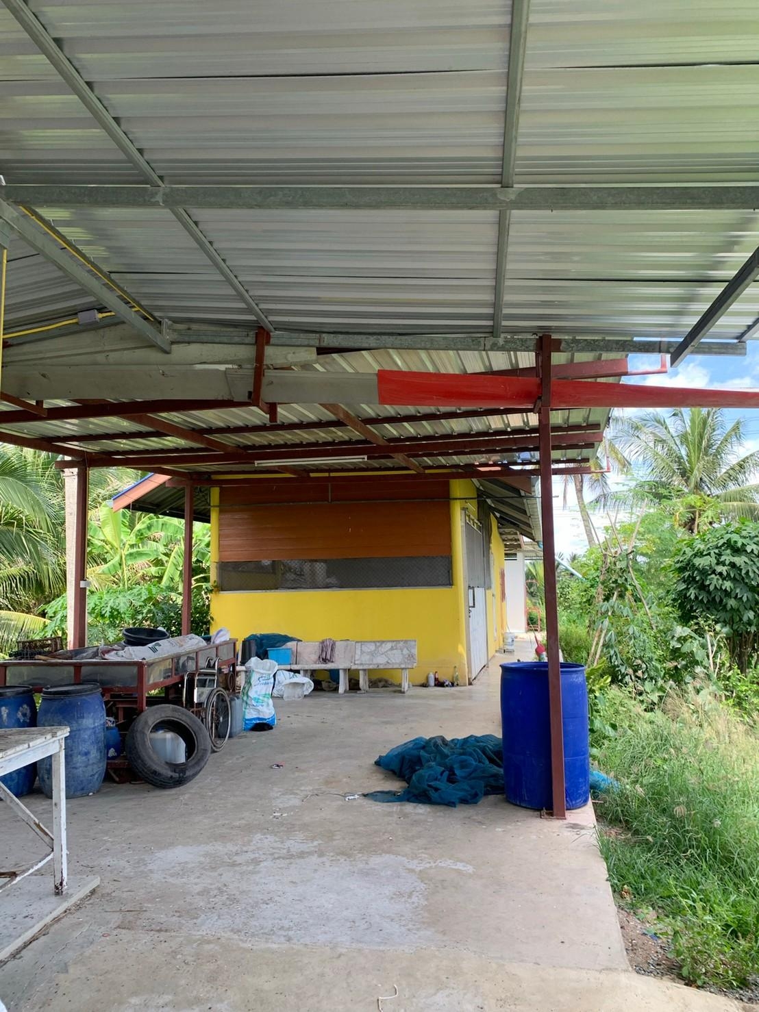 ขายที่ดินทำเกษตรกรรมพร้อมสิ่งปลูกสร้าง พื้นที่ 3 ไร่ 3 งาน อ.บ้านแพ้ว จ.สมุทรสาคร