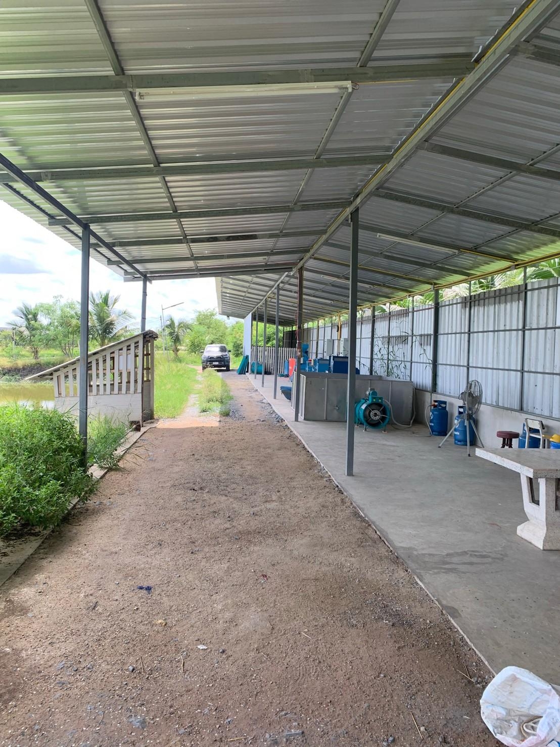 ขายที่ดินทำเกษตรกรรมพร้อมสิ่งปลูกสร้าง พื้นที่ 3 ไร่ 3 งาน อ.บ้านแพ้ว จ.สมุทรสาคร