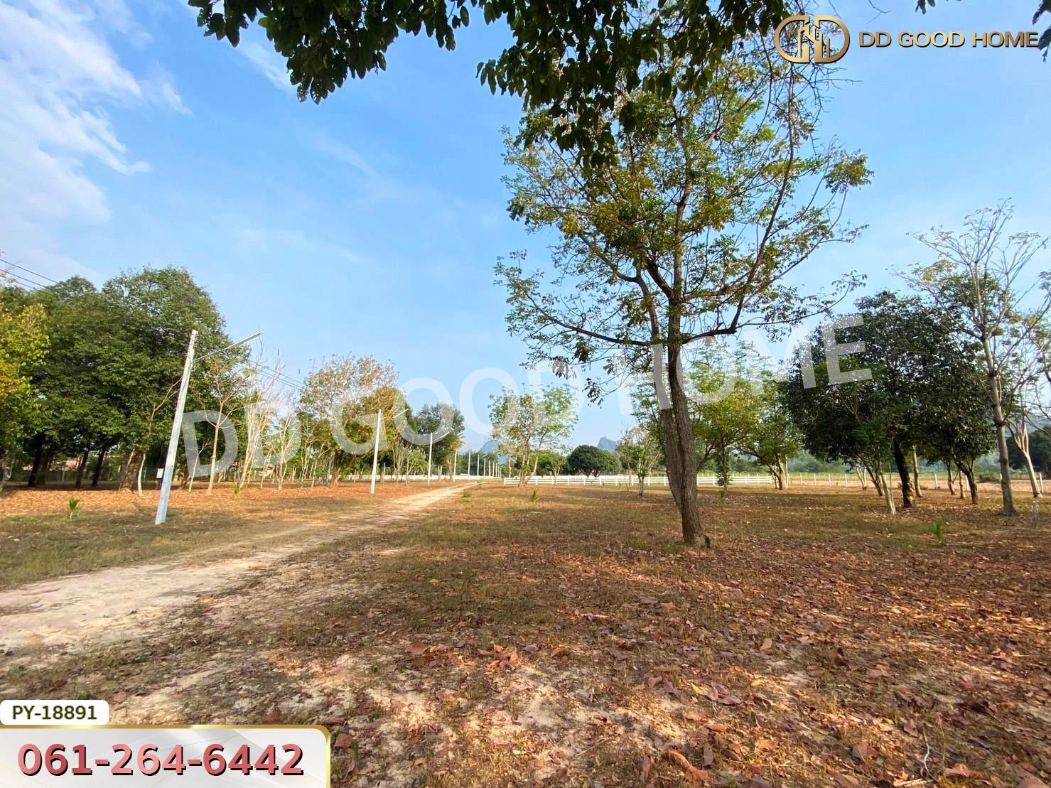 ที่ดิน อ.สัตหีบ 22 ไร่ ชลบุรี