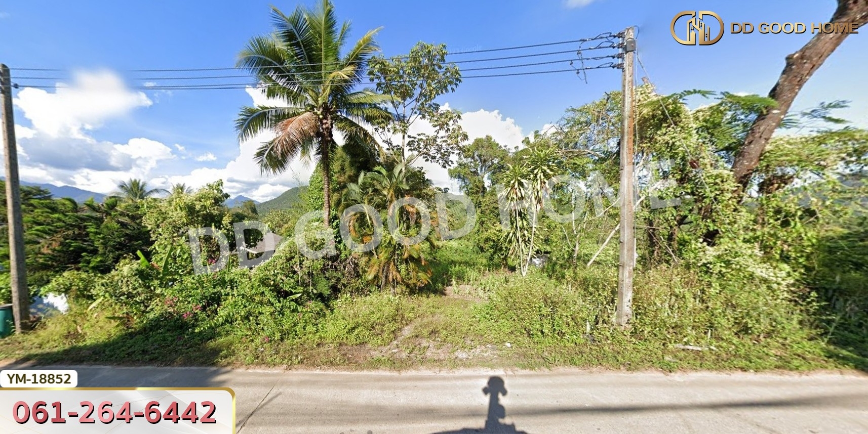 ที่ดิน อ.ฝาง 294 ตร.ว. ติดถนนชนบท 3059 เชียงใหม่