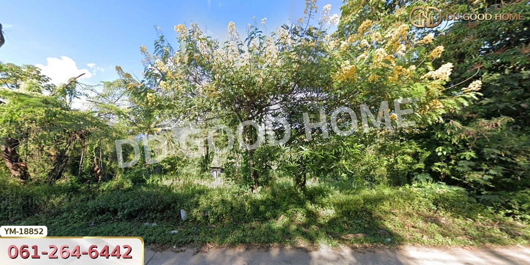 ที่ดิน อ.ฝาง 294 ตร.ว. ติดถนนชนบท 3059 เชียงใหม่