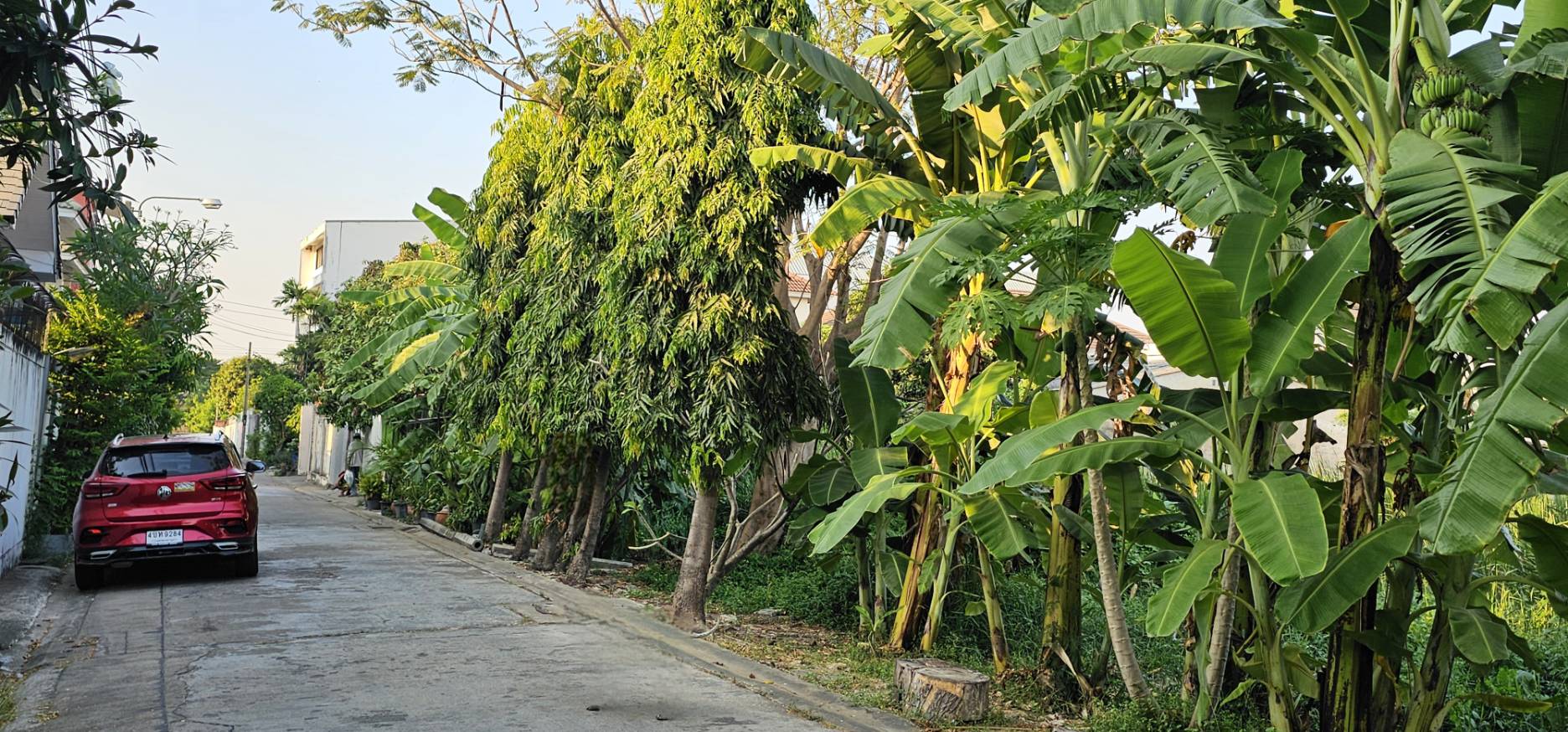 ขายด่วน ที่ดินเปล่า ทำเลทอง สวย ราคาถูกกว่าตลาด ขนาด 56 ตร.ว. ซ.สุขุมวิท 101 (ปุณณวิถี51)  