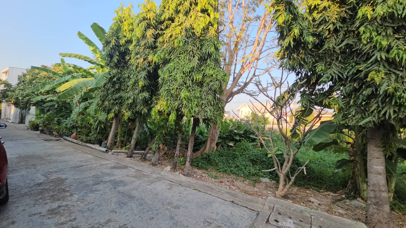 ขายด่วน ที่ดินเปล่า ทำเลทอง สวย ราคาถูกกว่าตลาด ขนาด 56 ตร.ว. ซ.สุขุมวิท 101 (ปุณณวิถี51)  