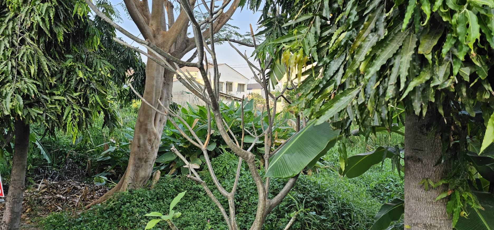 ขายด่วน ที่ดินเปล่า ทำเลทอง สวย ราคาถูกกว่าตลาด ขนาด 56 ตร.ว. ซ.สุขุมวิท 101 (ปุณณวิถี51)  