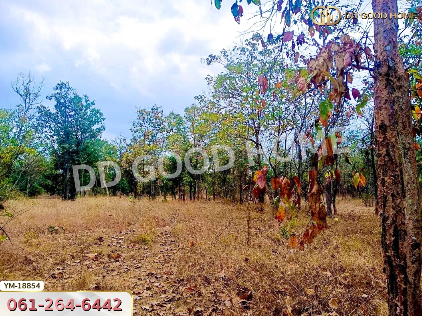 ที่ดิน อ.เมืองลำปาง 13 ไร่ 374 ตร.ว. ลำปาง