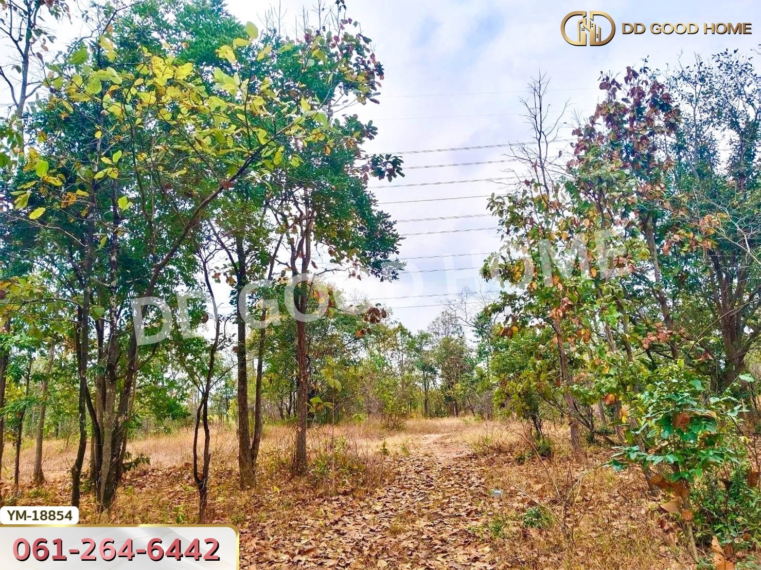 ที่ดิน อ.เมืองลำปาง 13 ไร่ 374 ตร.ว. ลำปาง